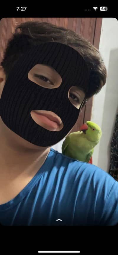 Ringneck parrot