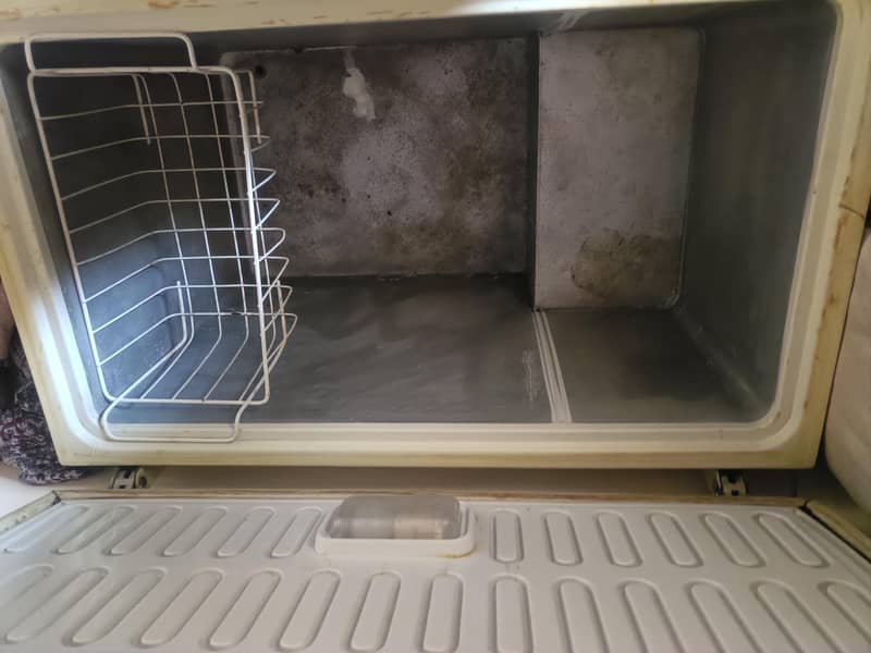 waves freezer 1