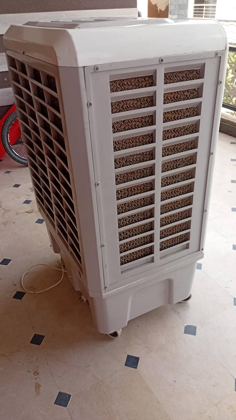 condition best 1