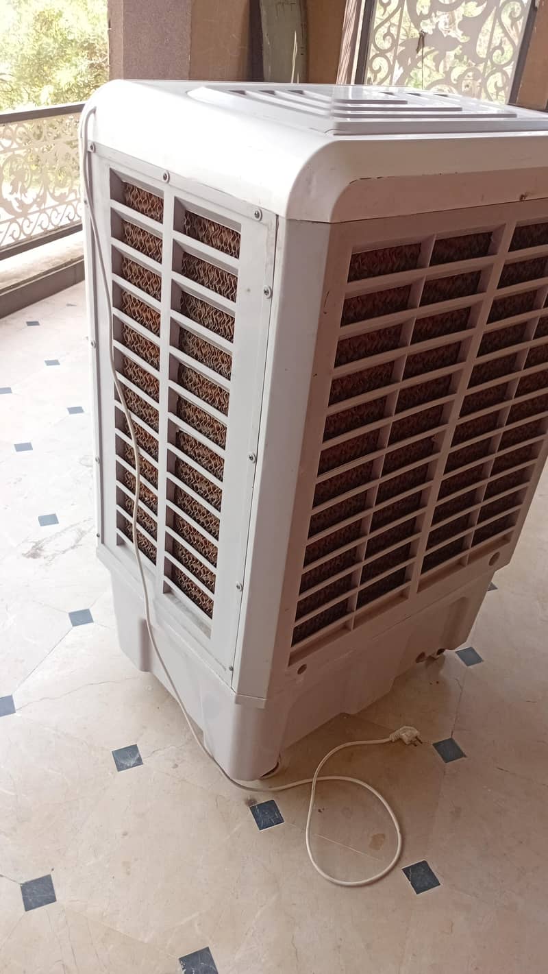 condition best 2