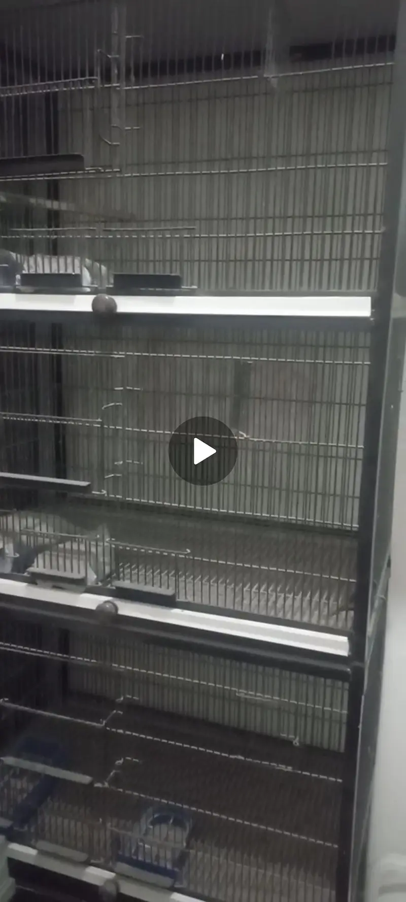 1.5by2.5 Cage — photo 2