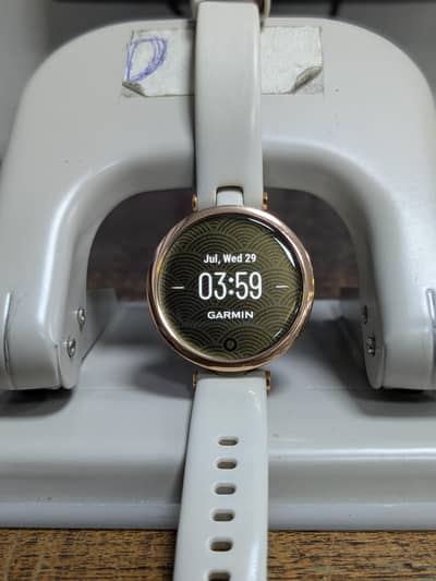 Garmin Lily
