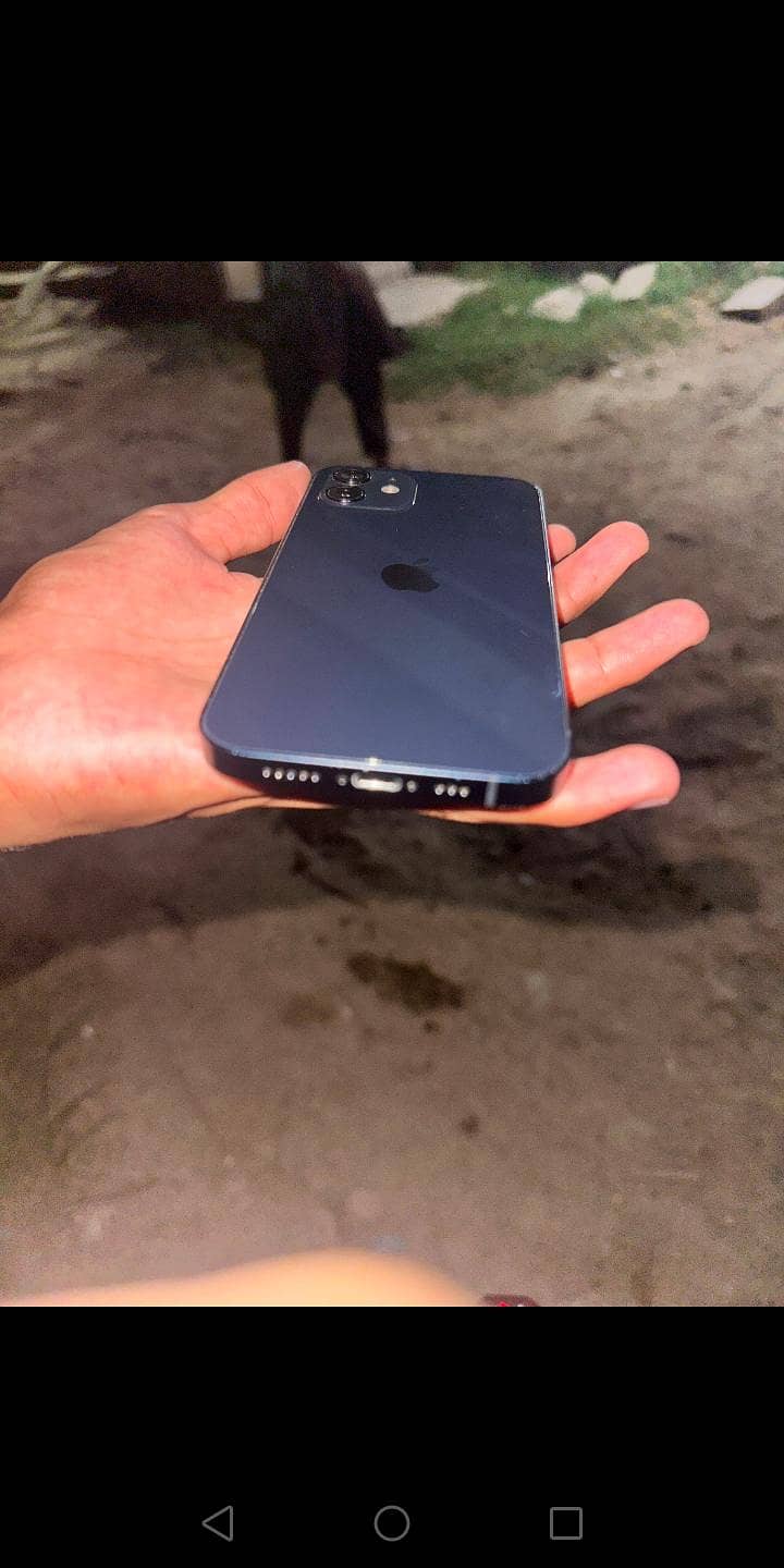 Apple iPhone 12 1