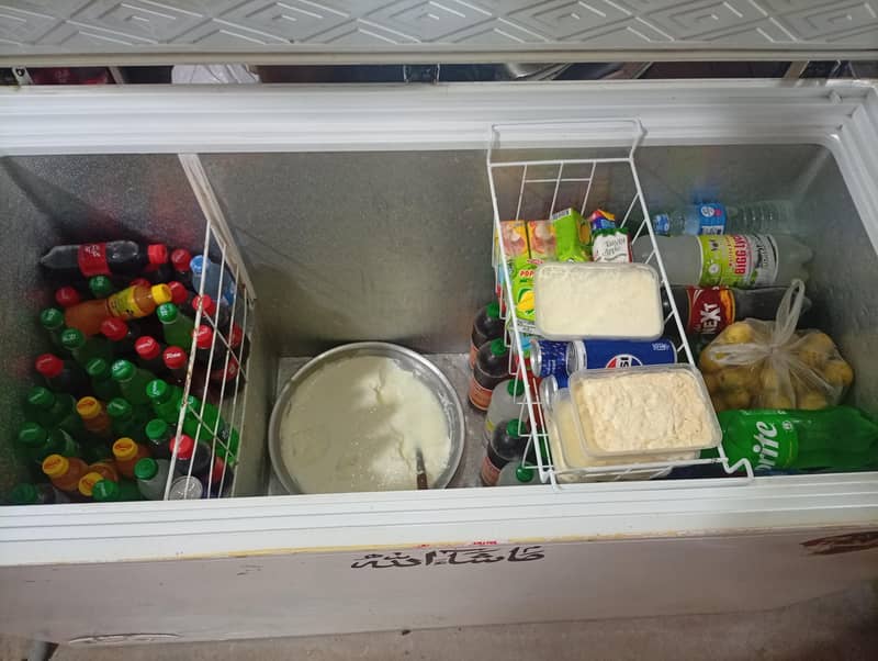 D Freezer 2