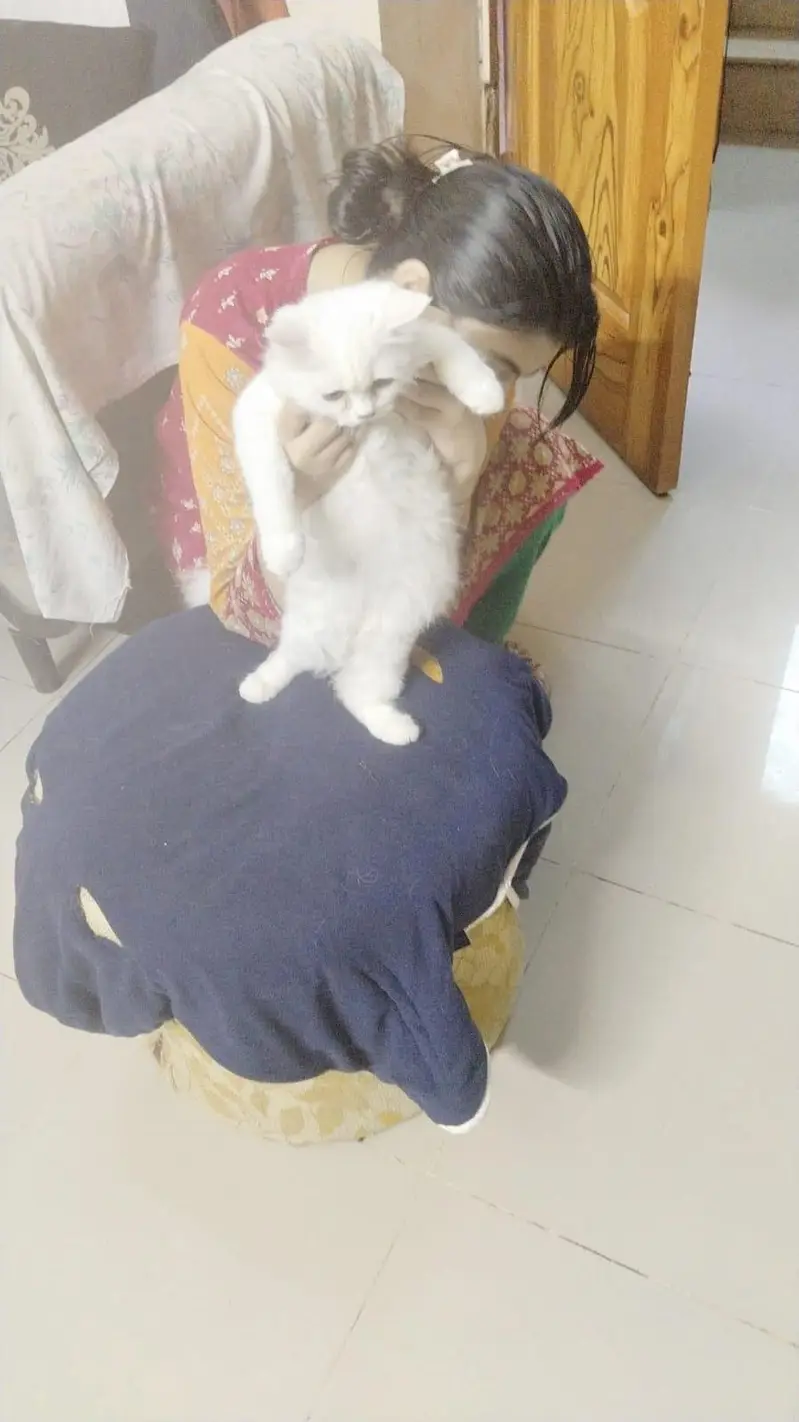 white breed — photo 2