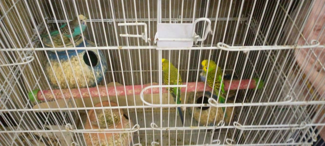 cages 3
