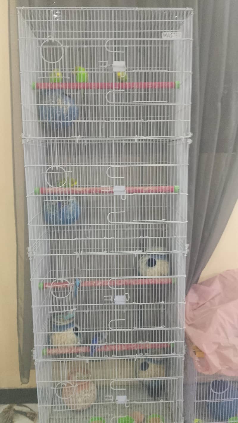 cages 6