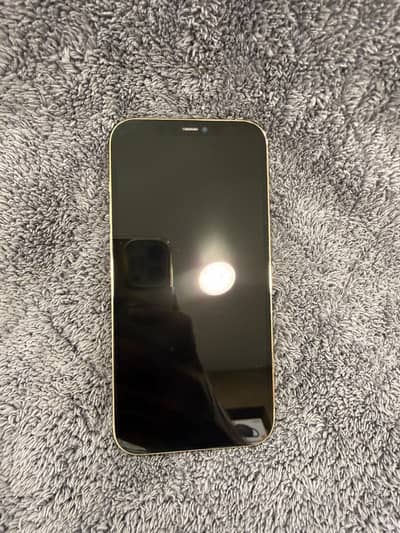 Apple iPhone 12 Pro Max