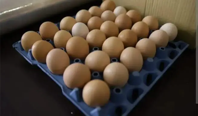 Desi Organic Eggs | Desi Eggs | Organic Eggs | Healthy Eggs — photo 2