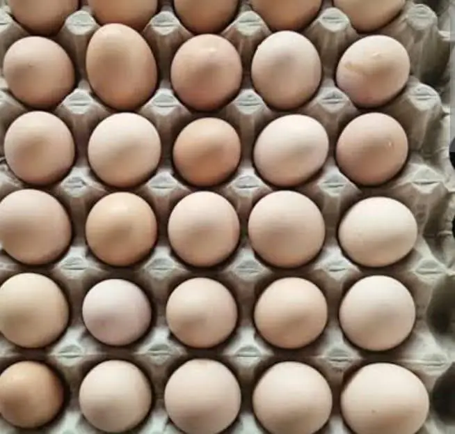 Desi Organic Eggs | Desi Eggs | Organic Eggs | Healthy Eggs — photo 3