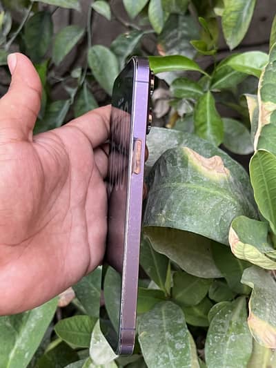 Apple iPhone 14 Pro Max