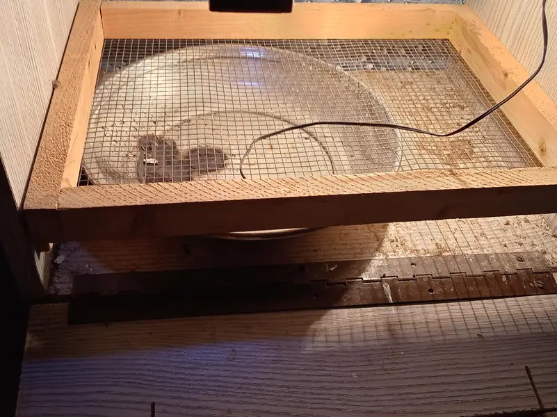 INCUBATOR of 20-25 eggs — photo 4