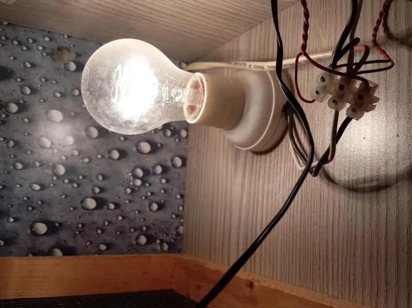 INCUBATOR of 20-25 eggs — photo 5