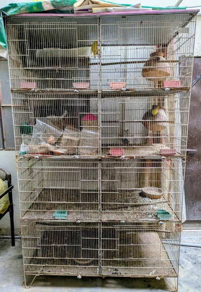 CAGE FOR SALE
