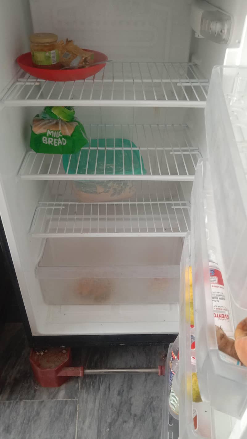 fridge 2