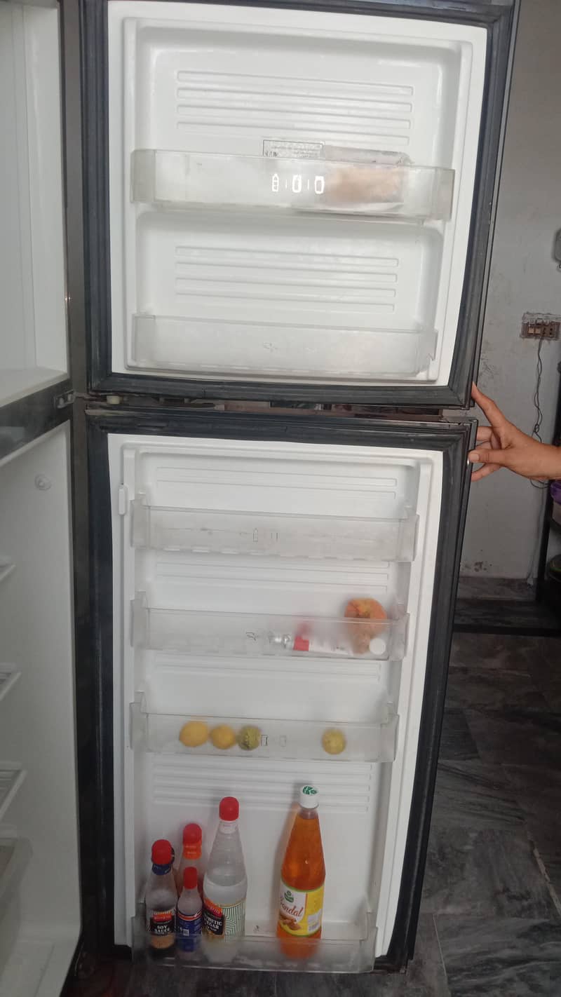 fridge 3