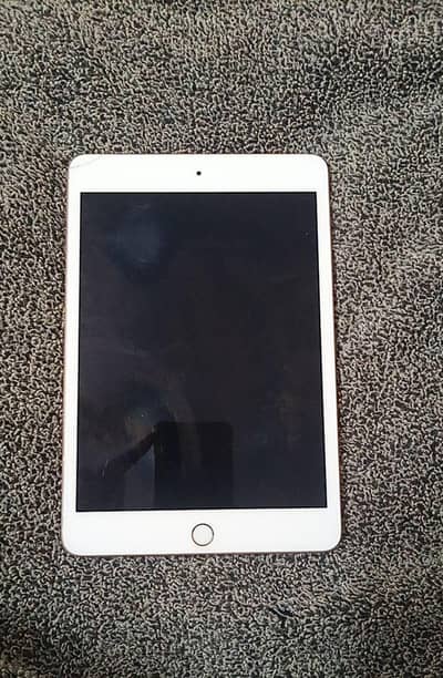 i pad mini 5
