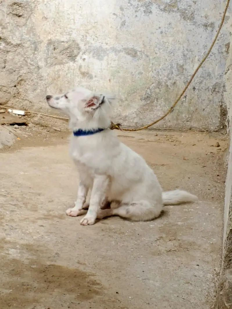 0 size Russian female available — photo 2