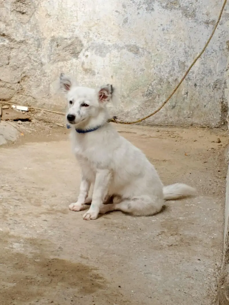 0 size Russian female available — photo 3