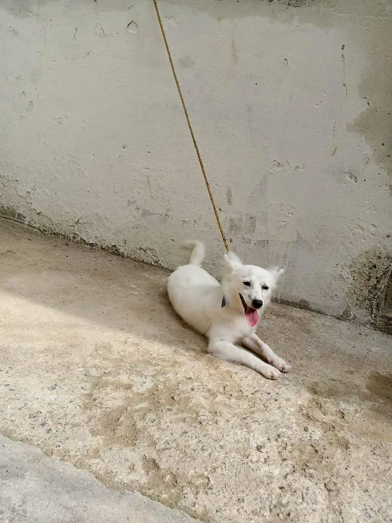 0 size Russian female available — photo 5