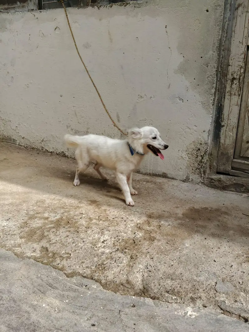 0 size Russian female available — photo 6