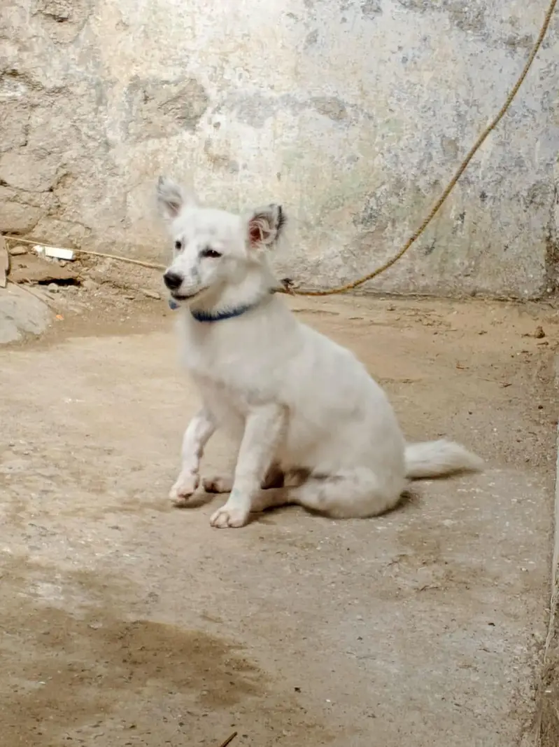 0 size Russian female available — photo 7