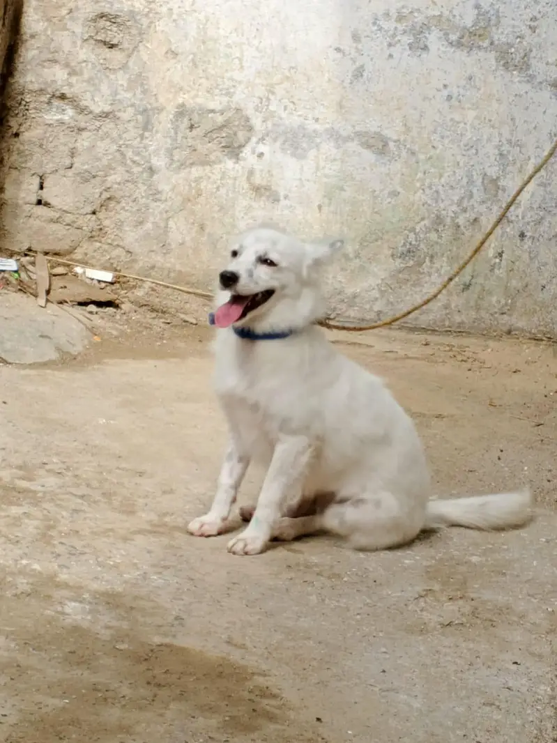 0 size Russian female available — photo 8