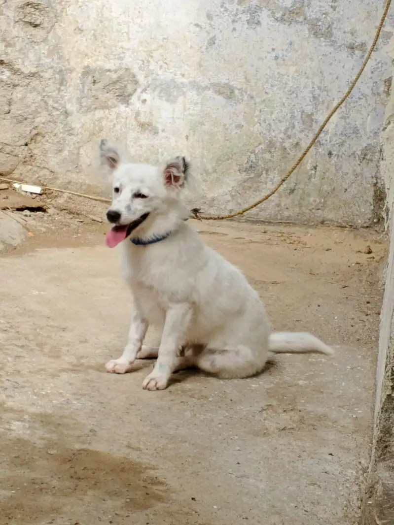 0 size Russian female available — photo 9