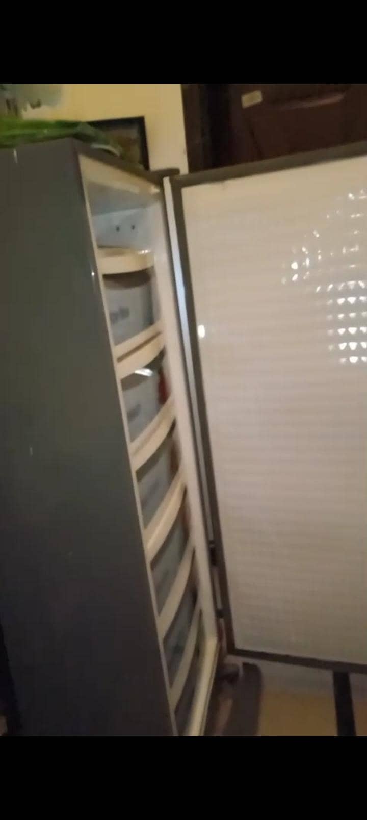 freezer 2