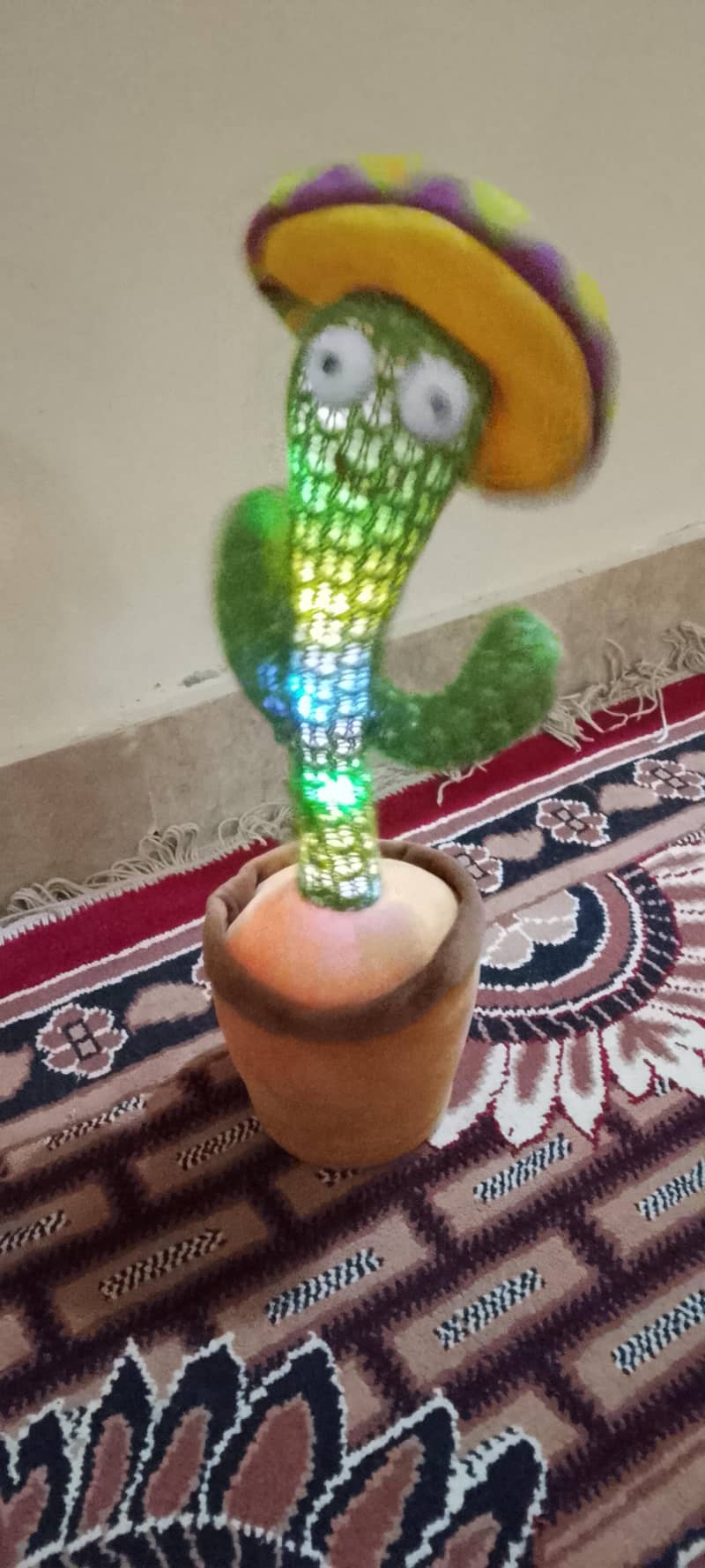 Dancing cactus 1
