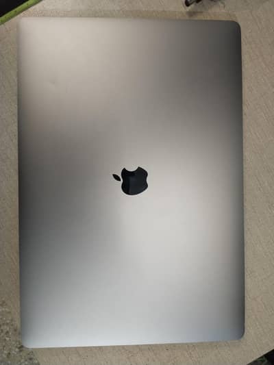 MacBook Pro 2019 Panel