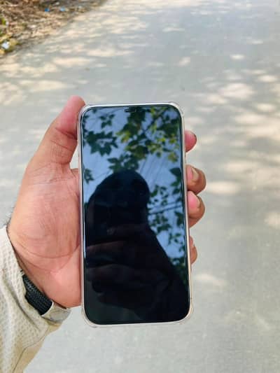 Apple iPhone 12 Pro Max