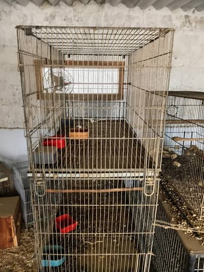 parrots cages