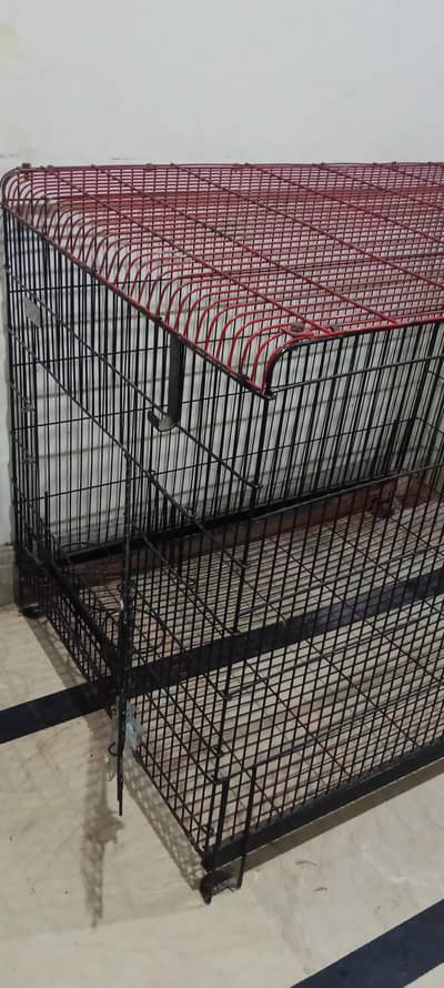 cage for sale dogs cats birds