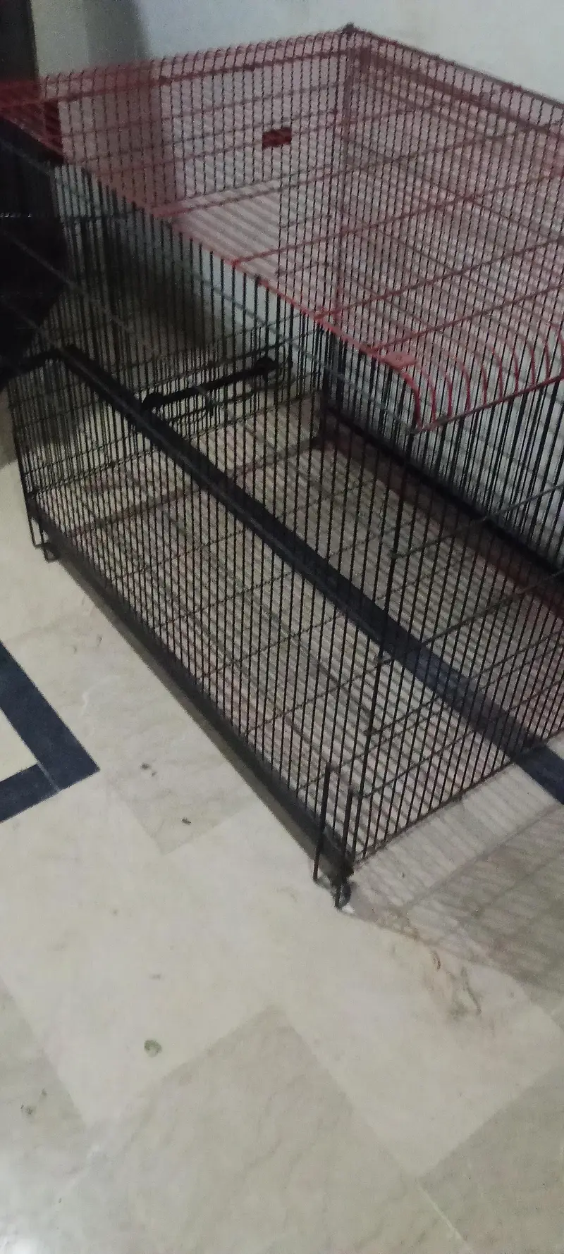 cage for sale dogs cats birds — photo 4