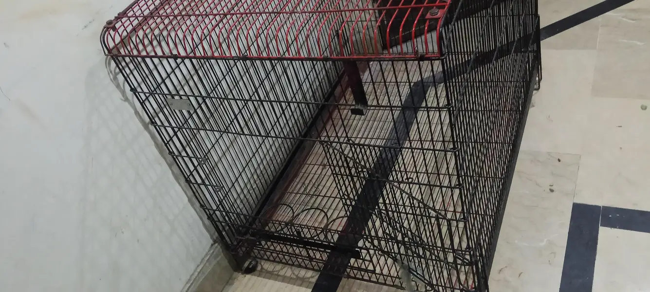 cage for sale dogs cats birds — photo 5
