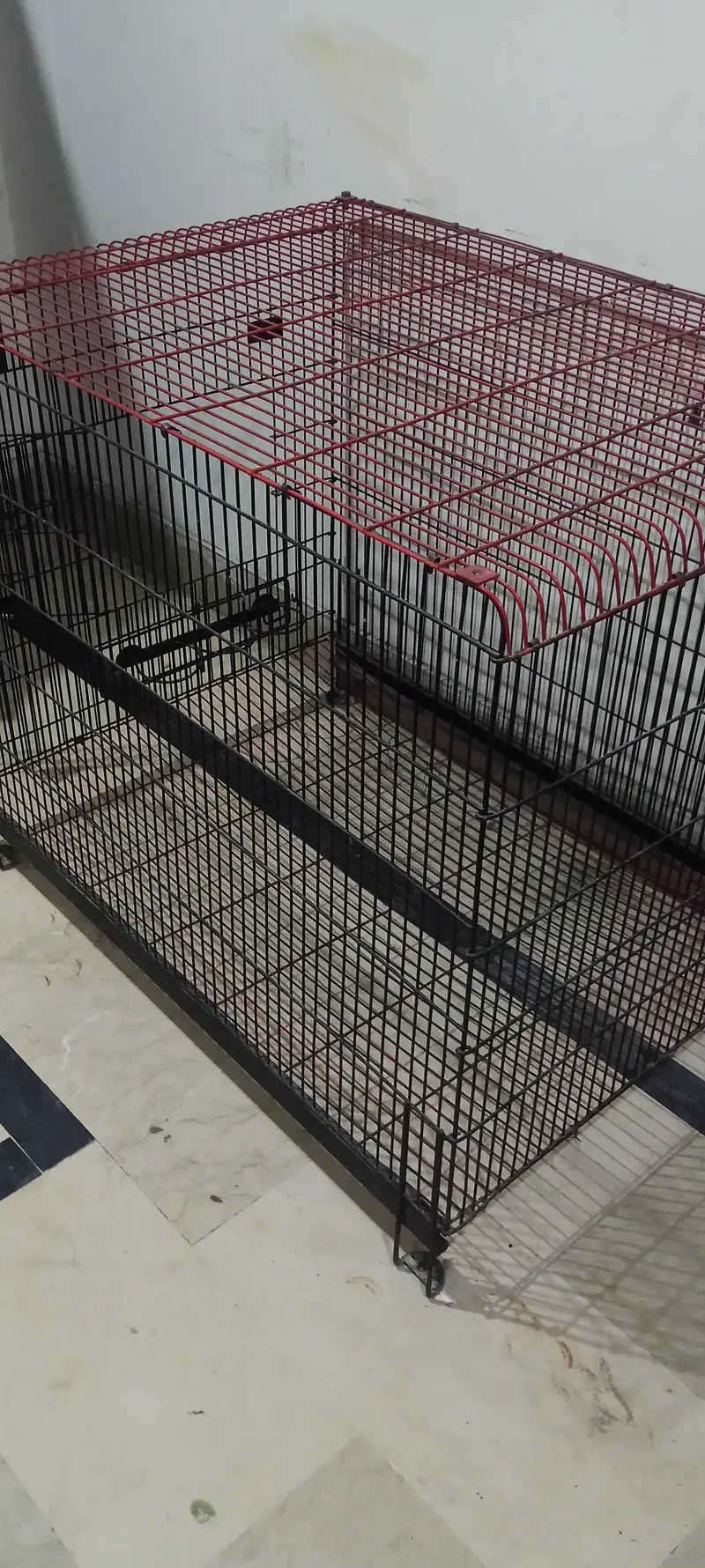 cage for sale dogs cats birds — photo 6