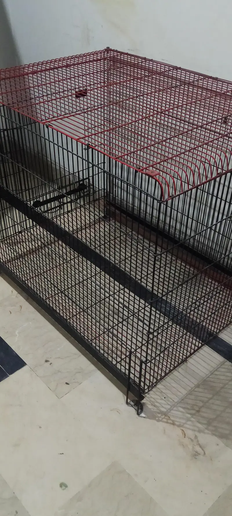 cage for sale dogs cats birds — photo 7