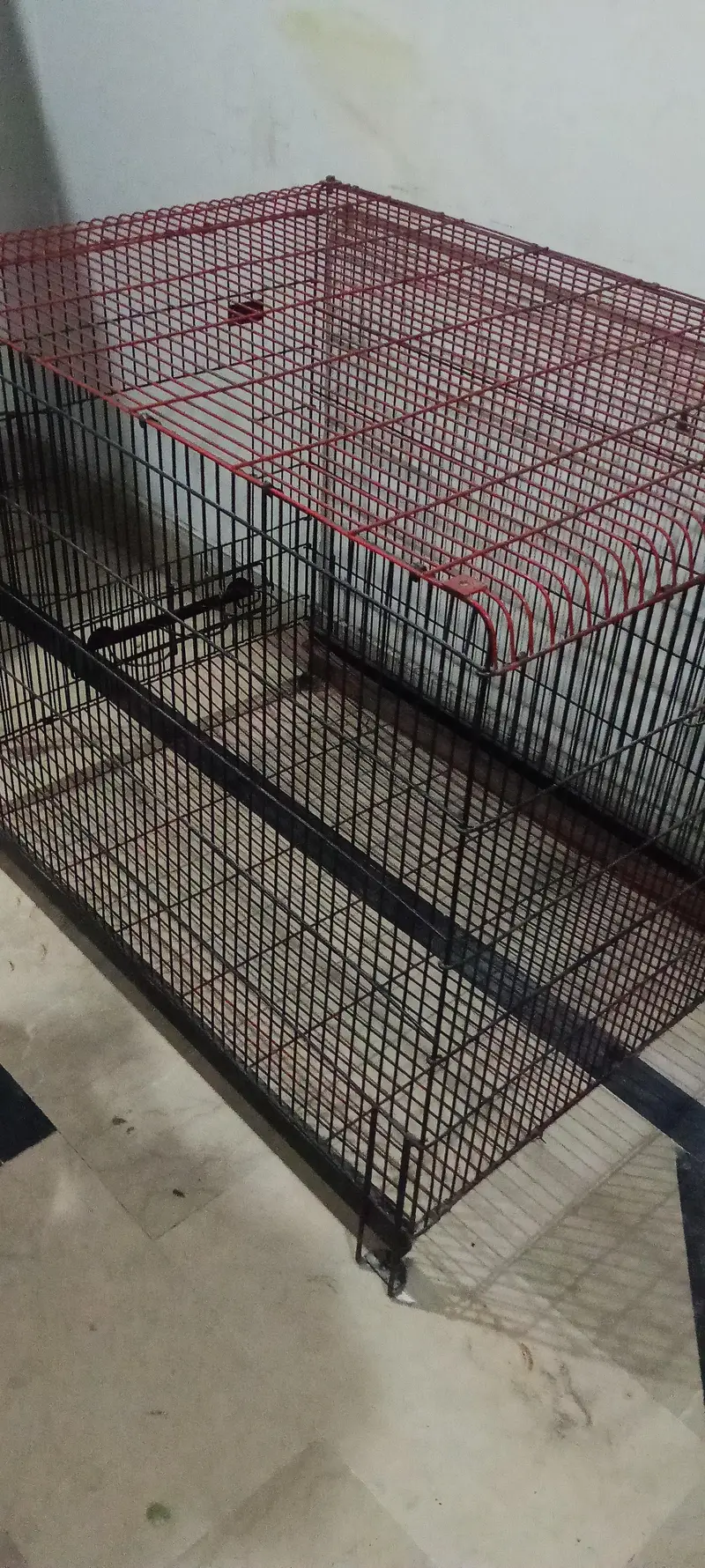 cage for sale dogs cats birds — photo 8