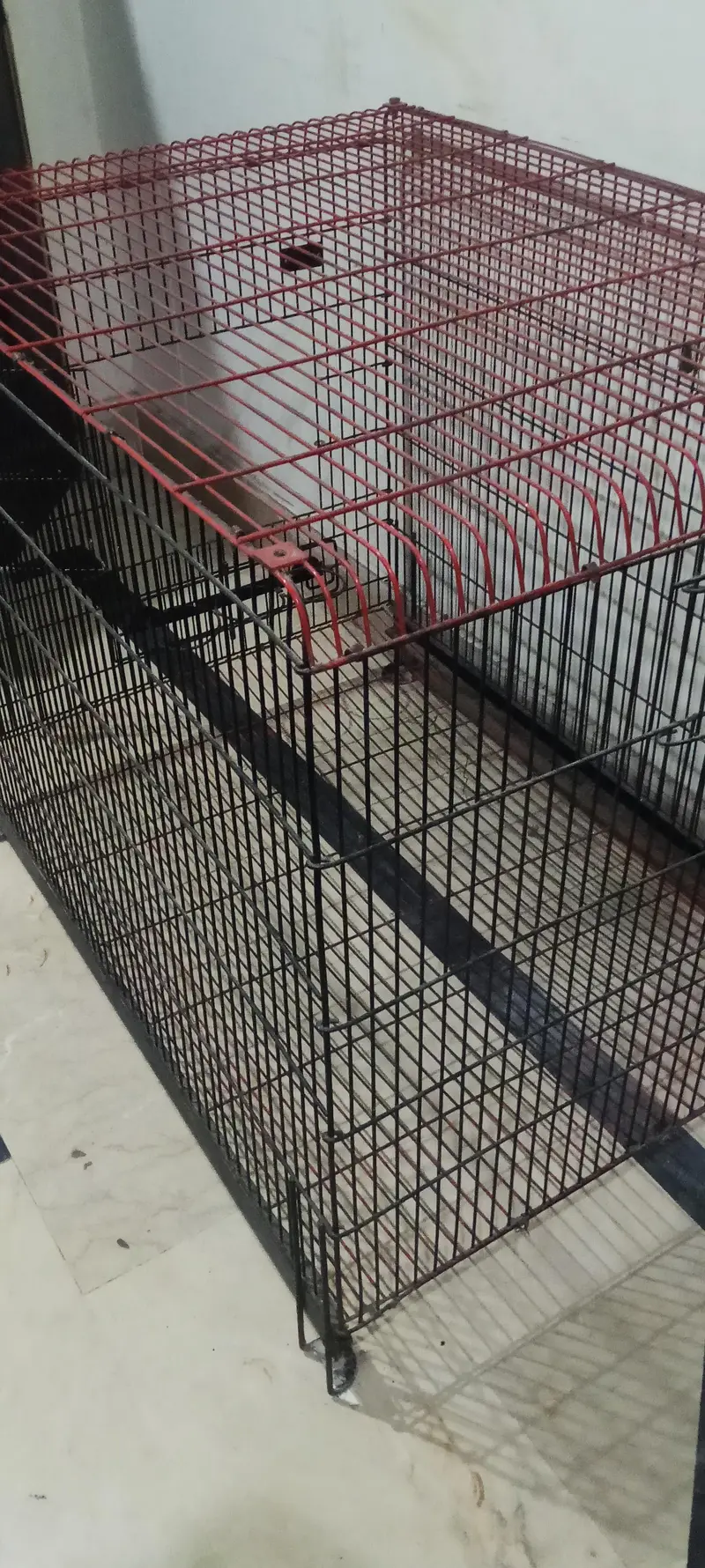 cage for sale dogs cats birds — photo 9