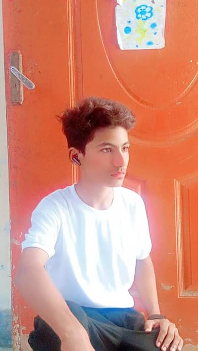 assignment  writting