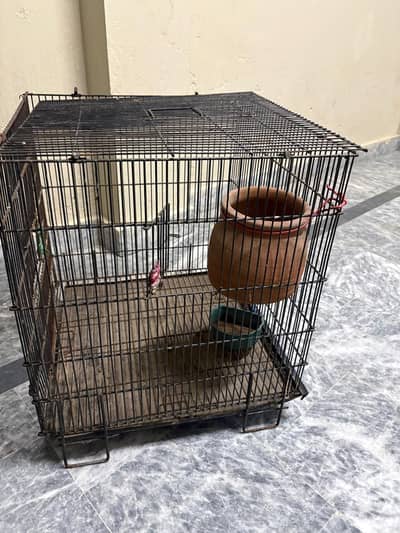 parrot cage/bird cage