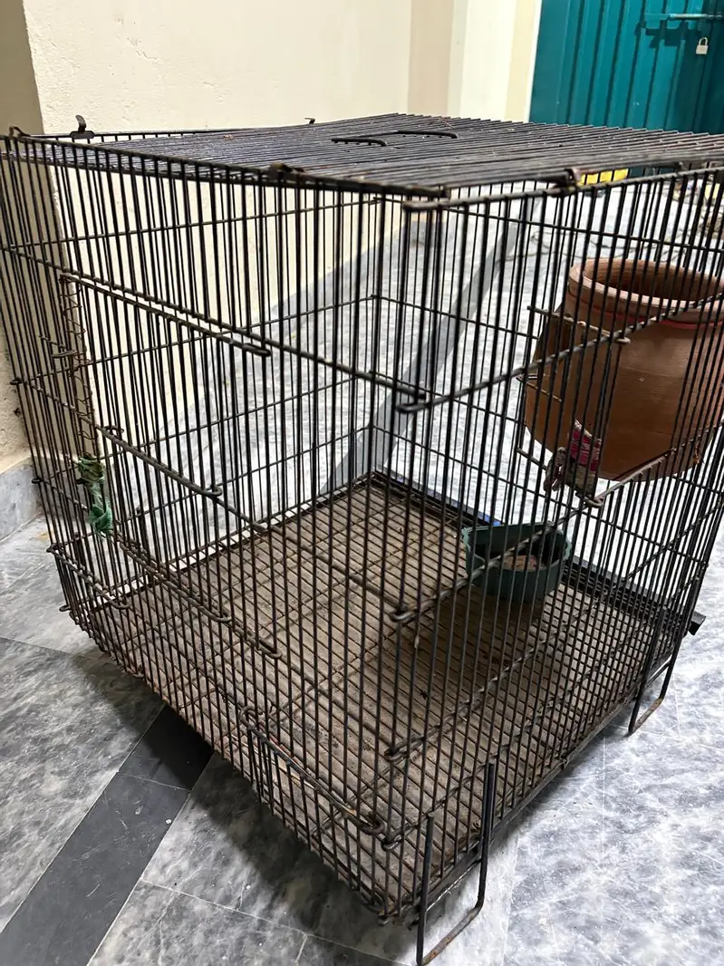 parrot cage/pinjra for sale — photo 2
