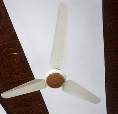 celling fan