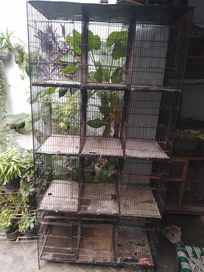 Cage for sale — photo 2