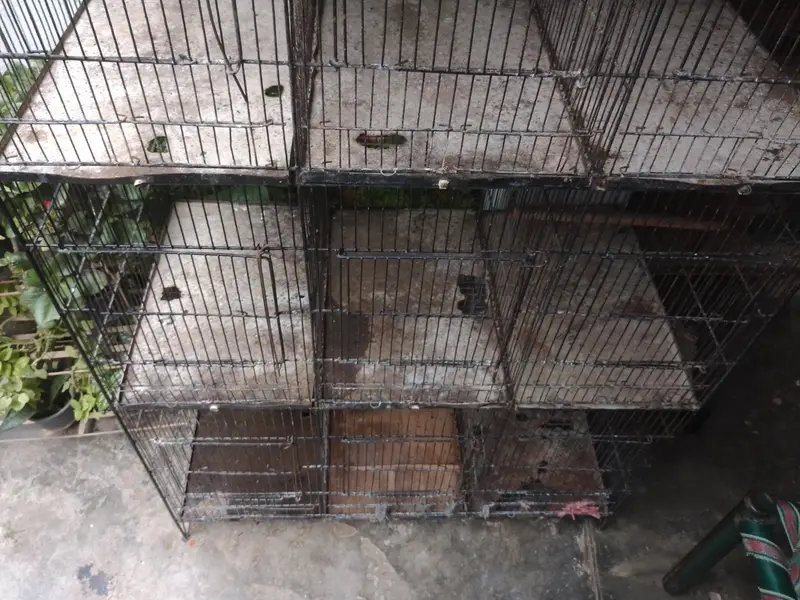 Cage for sale — photo 3