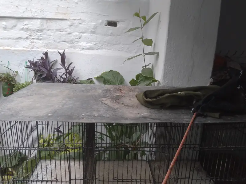 Cage for sale — photo 4