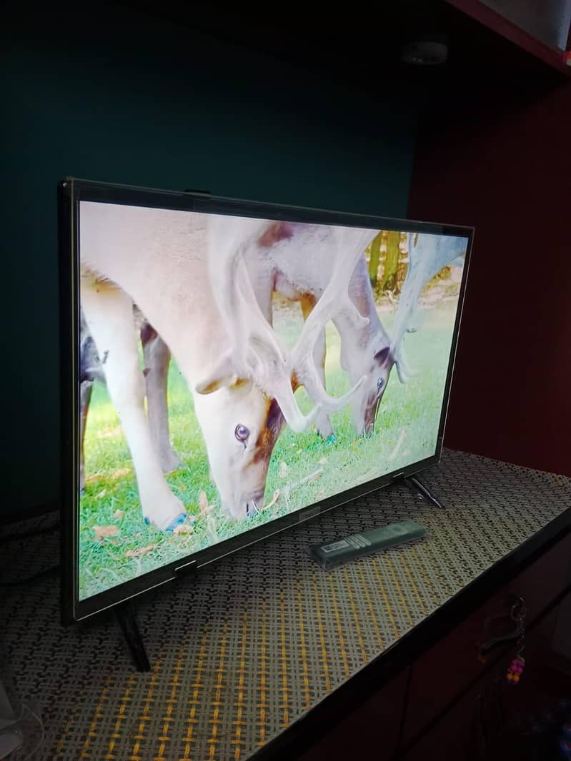LED TV PROTECTOR 3