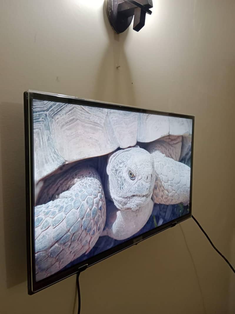 LED TV PROTECTOR 5