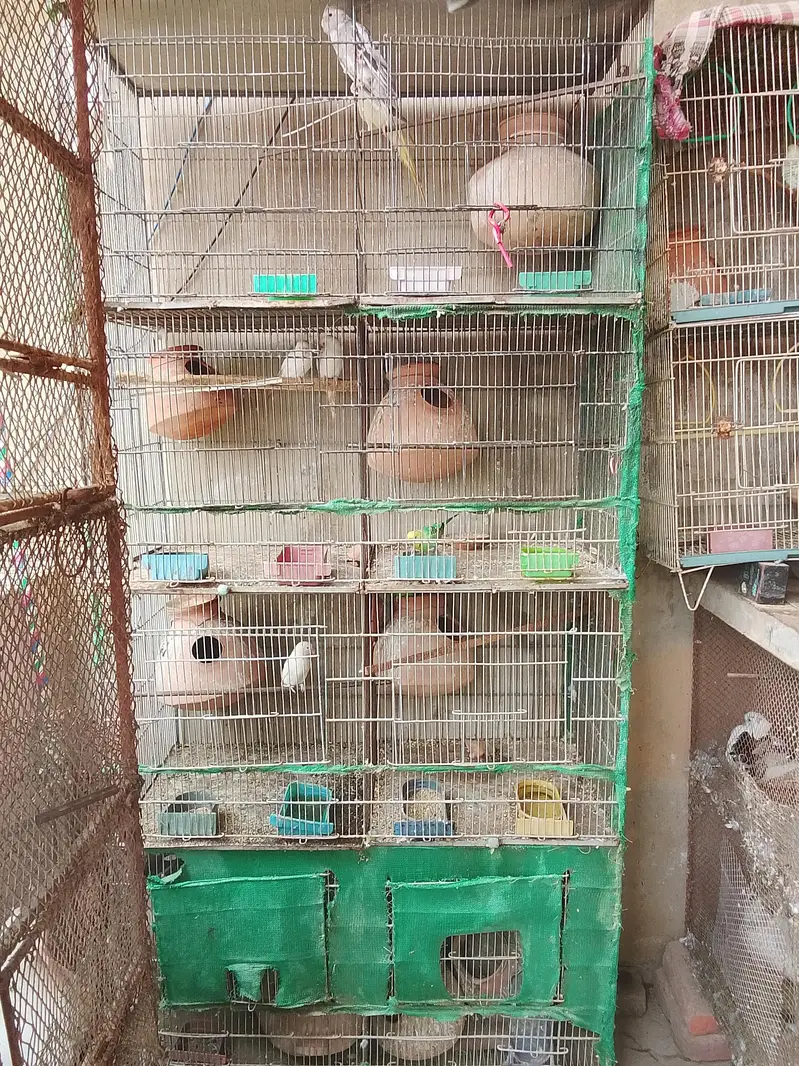 8 and 6 and 3 and 2 portion cages are available for sale — photo 2